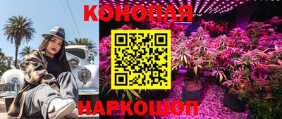 мдпв Обь