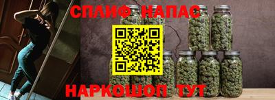 мдпв Обь