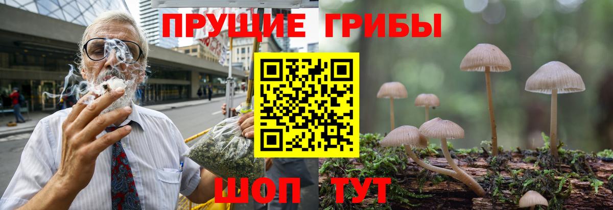Псилоцибиновые грибы мицелий  Вход с VPN  Псилоцибиновые грибы мухоморы  Тайшет 